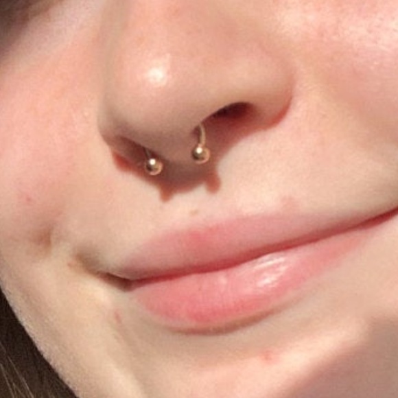 The Hole Experience Jewelry 6g Septum Circular Barbell New Body